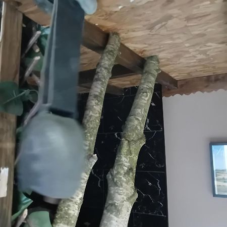 La Grange De Paul Au Domaine Du Reuze Apartment Winnezeele Bagian luar foto
